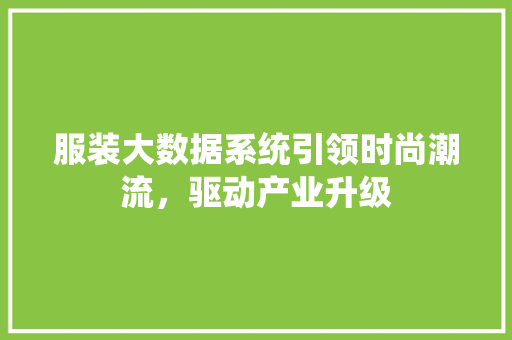 服装大数据系统引领时尚潮流，驱动产业升级