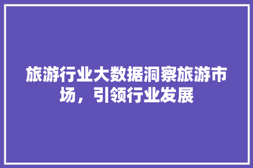 旅游行业大数据洞察旅游市场，引领行业发展
