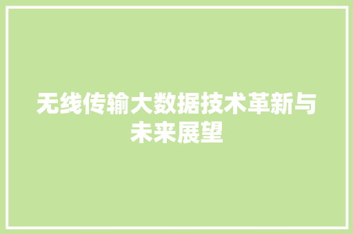无线传输大数据技术革新与未来展望