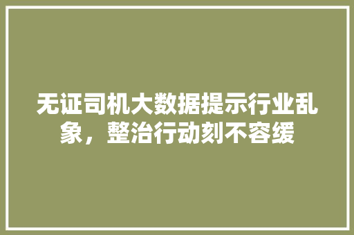 无证司机大数据提示行业乱象，整治行动刻不容缓