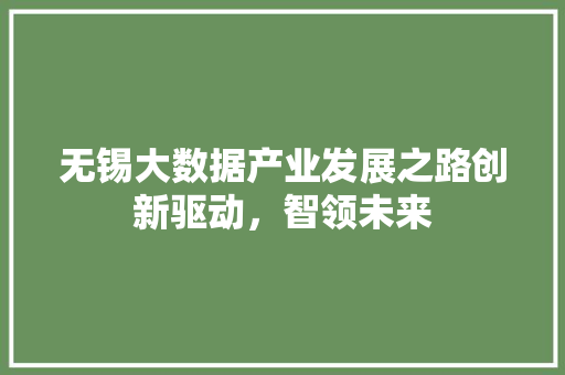 无锡大数据产业发展之路创新驱动，智领未来