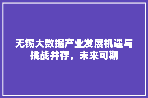 无锡大数据产业发展机遇与挑战并存，未来可期