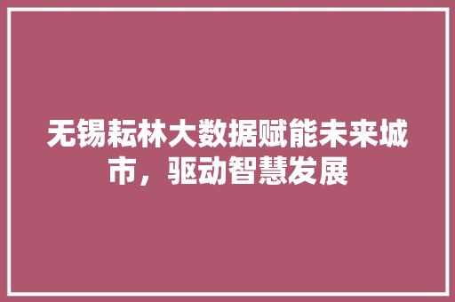 无锡耘林大数据赋能未来城市，驱动智慧发展