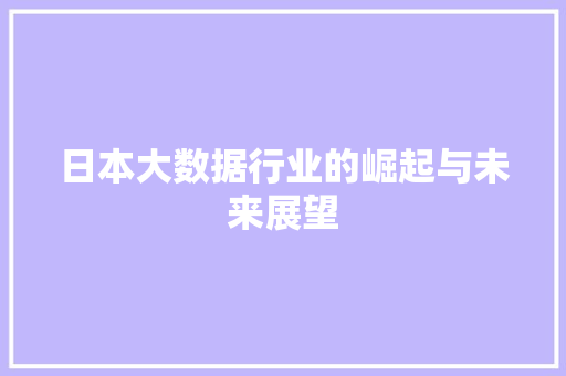 日本大数据行业的崛起与未来展望
