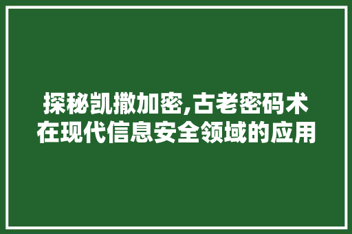 探秘凯撒加密,古老密码术在现代信息安全领域的应用