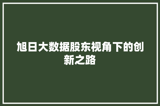 旭日大数据股东视角下的创新之路