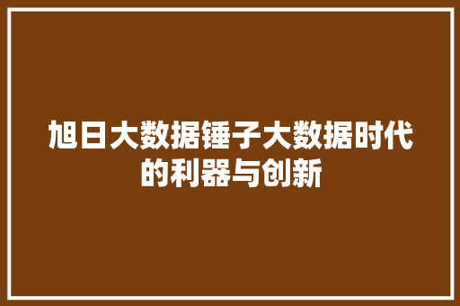 旭日大数据锤子大数据时代的利器与创新