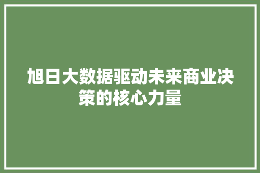 旭日大数据驱动未来商业决策的核心力量