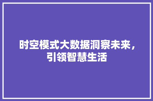 时空模式大数据洞察未来，引领智慧生活