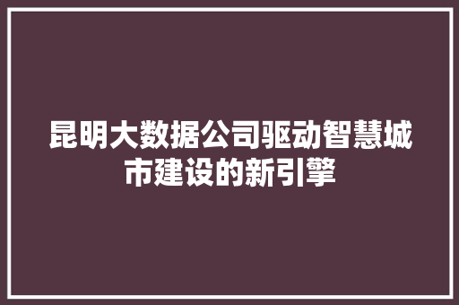 昆明大数据公司驱动智慧城市建设的新引擎