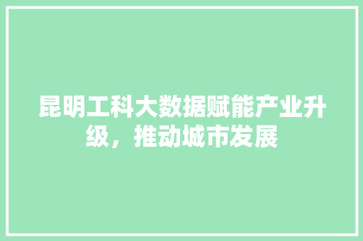 昆明工科大数据赋能产业升级，推动城市发展