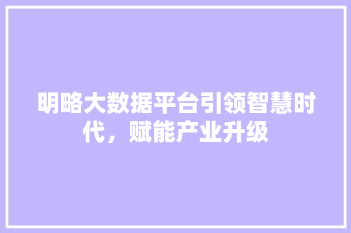 明略大数据平台引领智慧时代，赋能产业升级