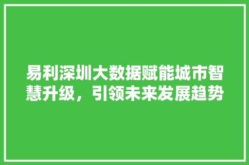 易利深圳大数据赋能城市智慧升级，引领未来发展趋势