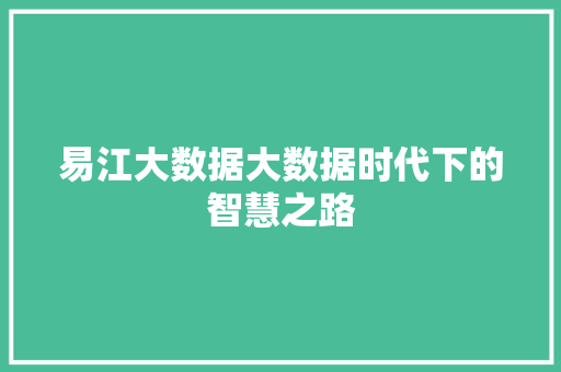 易江大数据大数据时代下的智慧之路
