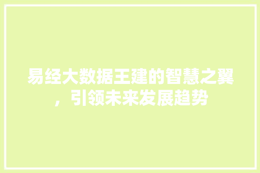 易经大数据王建的智慧之翼，引领未来发展趋势