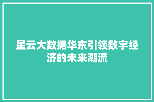 星云大数据华东引领数字经济的未来潮流