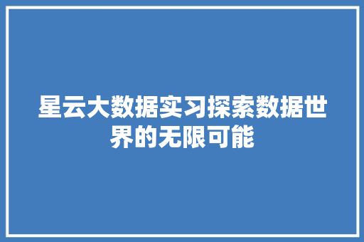 星云大数据实习探索数据世界的无限可能