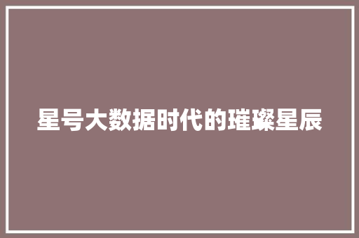 星号大数据时代的璀璨星辰