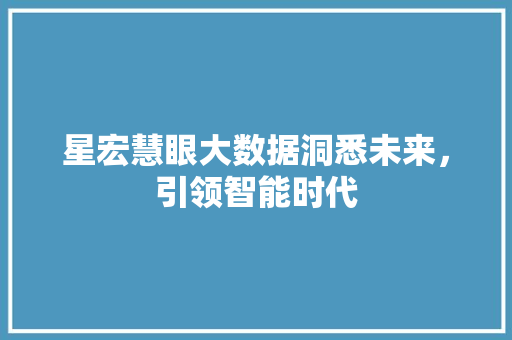 星宏慧眼大数据洞悉未来，引领智能时代