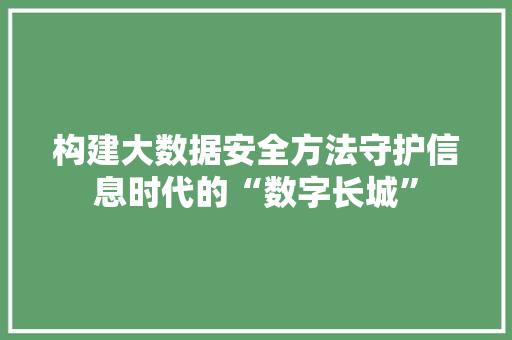 构建大数据安全方法守护信息时代的“数字长城”