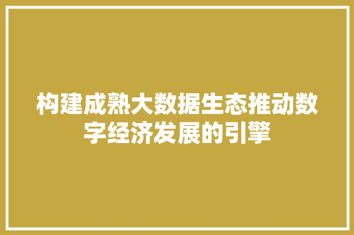 构建成熟大数据生态推动数字经济发展的引擎