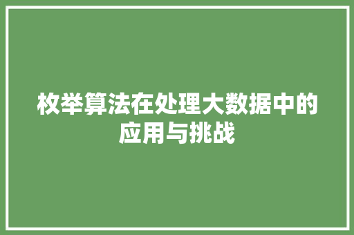 枚举算法在处理大数据中的应用与挑战