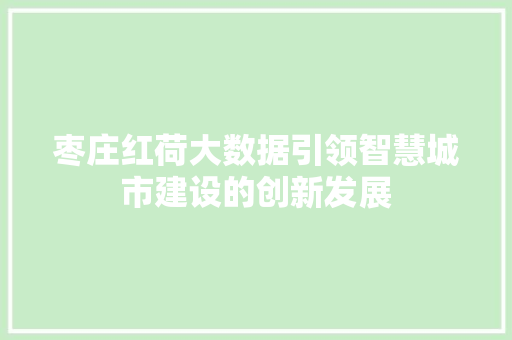 枣庄红荷大数据引领智慧城市建设的创新发展