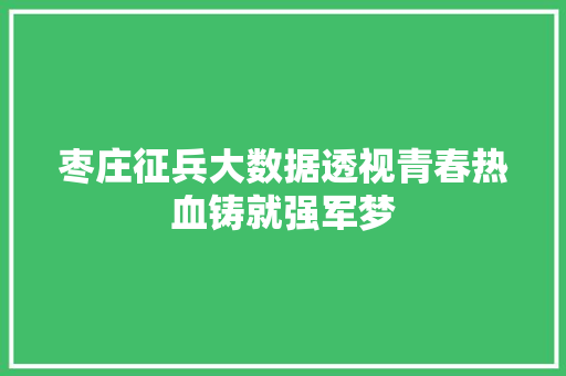 枣庄征兵大数据透视青春热血铸就强军梦