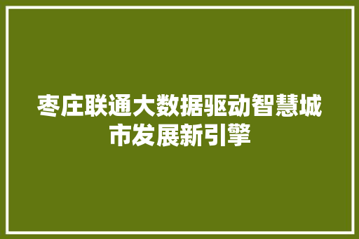 枣庄联通大数据驱动智慧城市发展新引擎