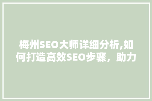 梅州SEO大师详细分析,如何打造高效SEO步骤，助力企业网络营销