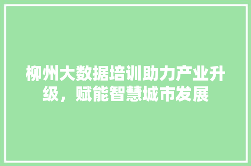 柳州大数据培训助力产业升级，赋能智慧城市发展