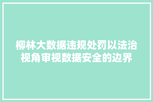 柳林大数据违规处罚以法治视角审视数据安全的边界