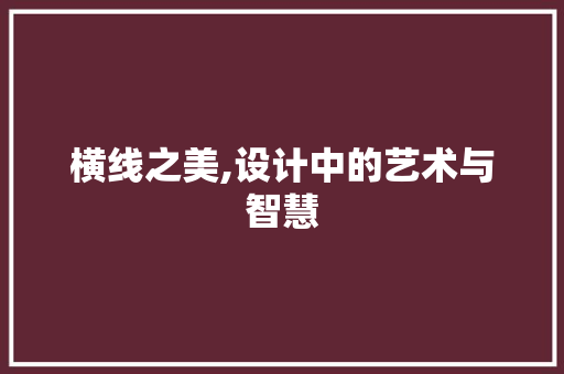 横线之美,设计中的艺术与智慧 后端技术