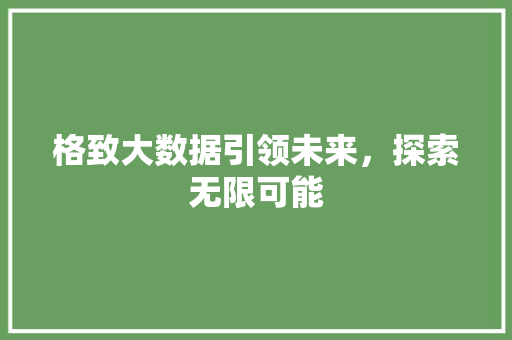 格致大数据引领未来，探索无限可能