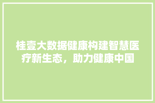 桂壹大数据健康构建智慧医疗新生态，助力健康中国