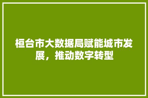 桓台市大数据局赋能城市发展，推动数字转型