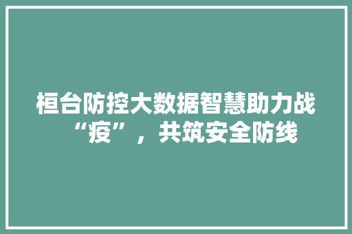 桓台防控大数据智慧助力战“疫”，共筑安全防线