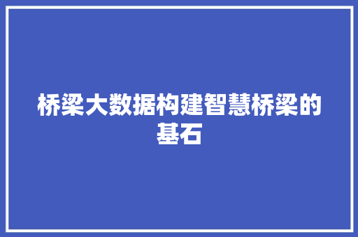 桥梁大数据构建智慧桥梁的基石