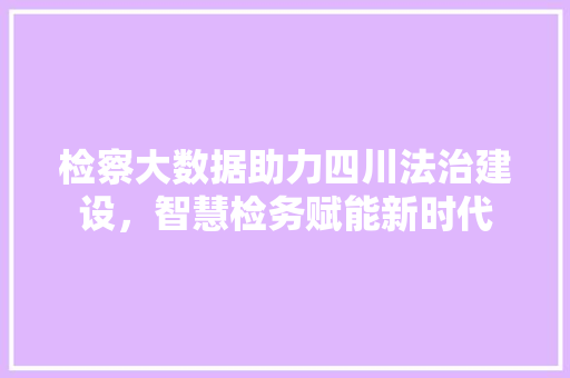 检察大数据助力四川法治建设，智慧检务赋能新时代