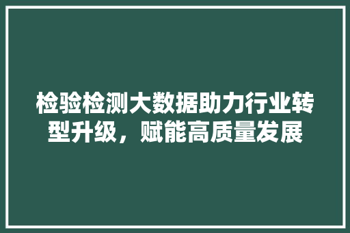 检验检测大数据助力行业转型升级，赋能高质量发展