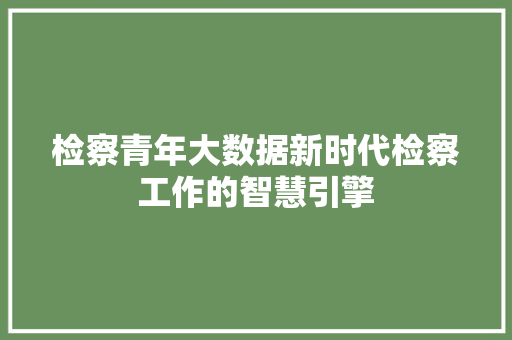检察青年大数据新时代检察工作的智慧引擎