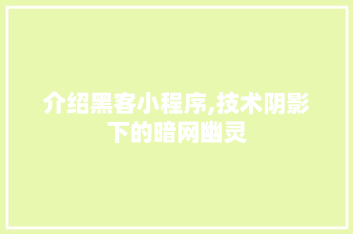 介绍黑客小程序,技术阴影下的暗网幽灵