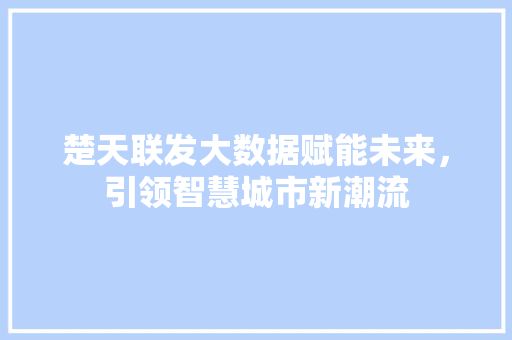 楚天联发大数据赋能未来，引领智慧城市新潮流