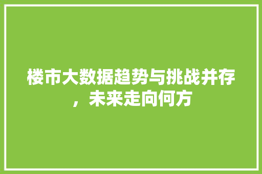 楼市大数据趋势与挑战并存，未来走向何方