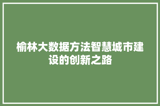 榆林大数据方法智慧城市建设的创新之路