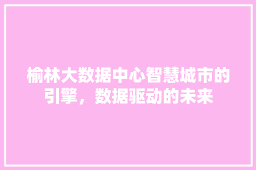 榆林大数据中心智慧城市的引擎，数据驱动的未来