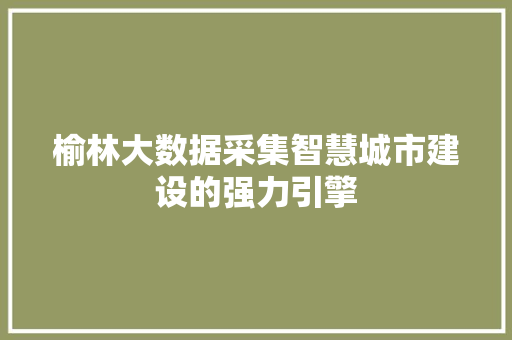 榆林大数据采集智慧城市建设的强力引擎