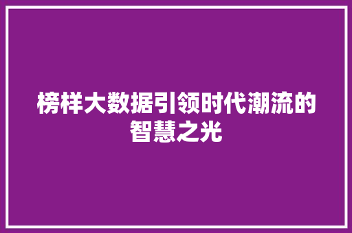 榜样大数据引领时代潮流的智慧之光