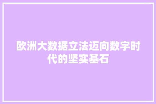 欧洲大数据立法迈向数字时代的坚实基石 网站建设