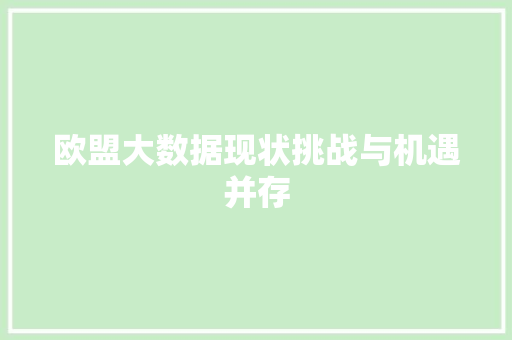 欧盟大数据现状挑战与机遇并存